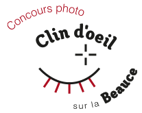 logo-clin-doeil